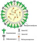 Осложнения гриппа