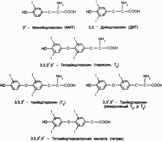  формула тироксина