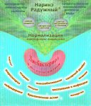 Лекарство от брюшного тифа